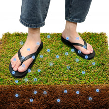 Load image into Gallery viewer, Earthing Shoes