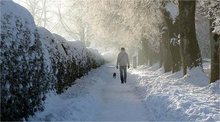 5 Tips to Get Grounded In the Winter - Realyou Earthing