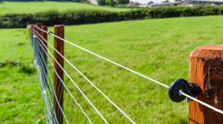 Earthing and So-called “Dirty Electricity” - Realyou Earthing