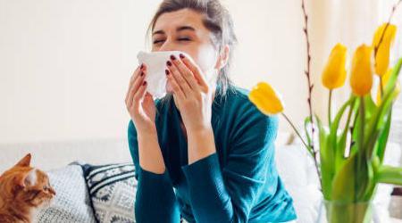 Grounding for Allergy Relief