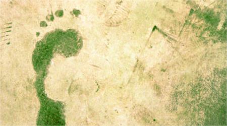 Should I Practice Earthing And How to Practice Earthing?