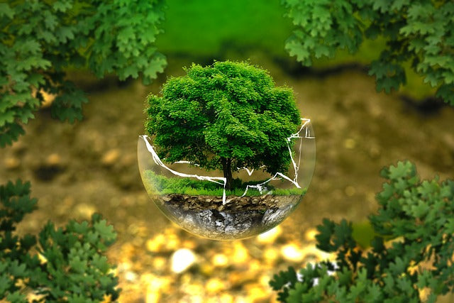 Earthing–A Technique to Help Ground Your Body