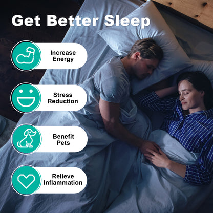 Grounding Flat Bed Sheet ( 76" x 80" )